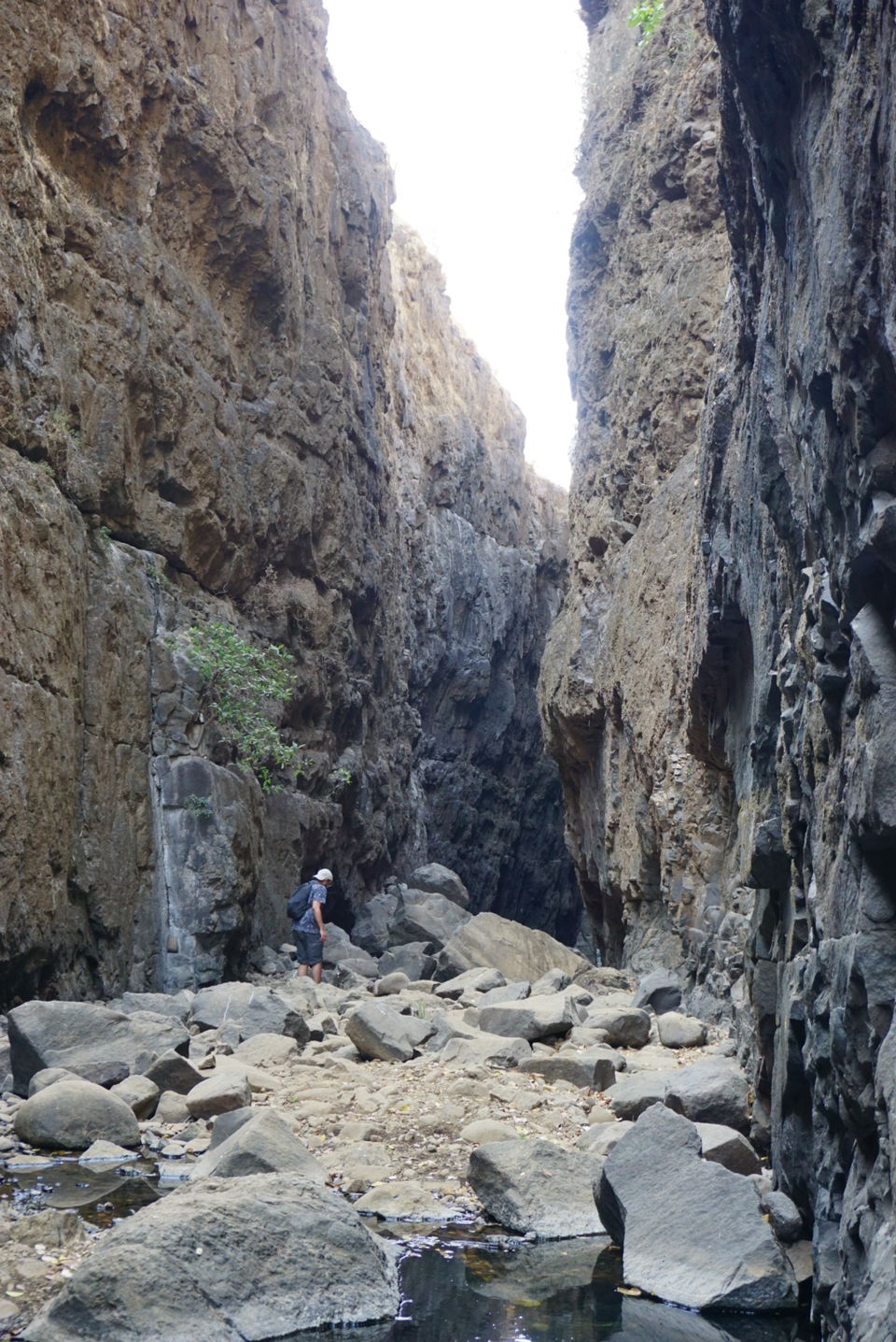 Photo of Sandhan Valley, one of the greatest canyon in Sahyadri Western Ghats #BestofMaharashtra 4/9 by HazelTejal