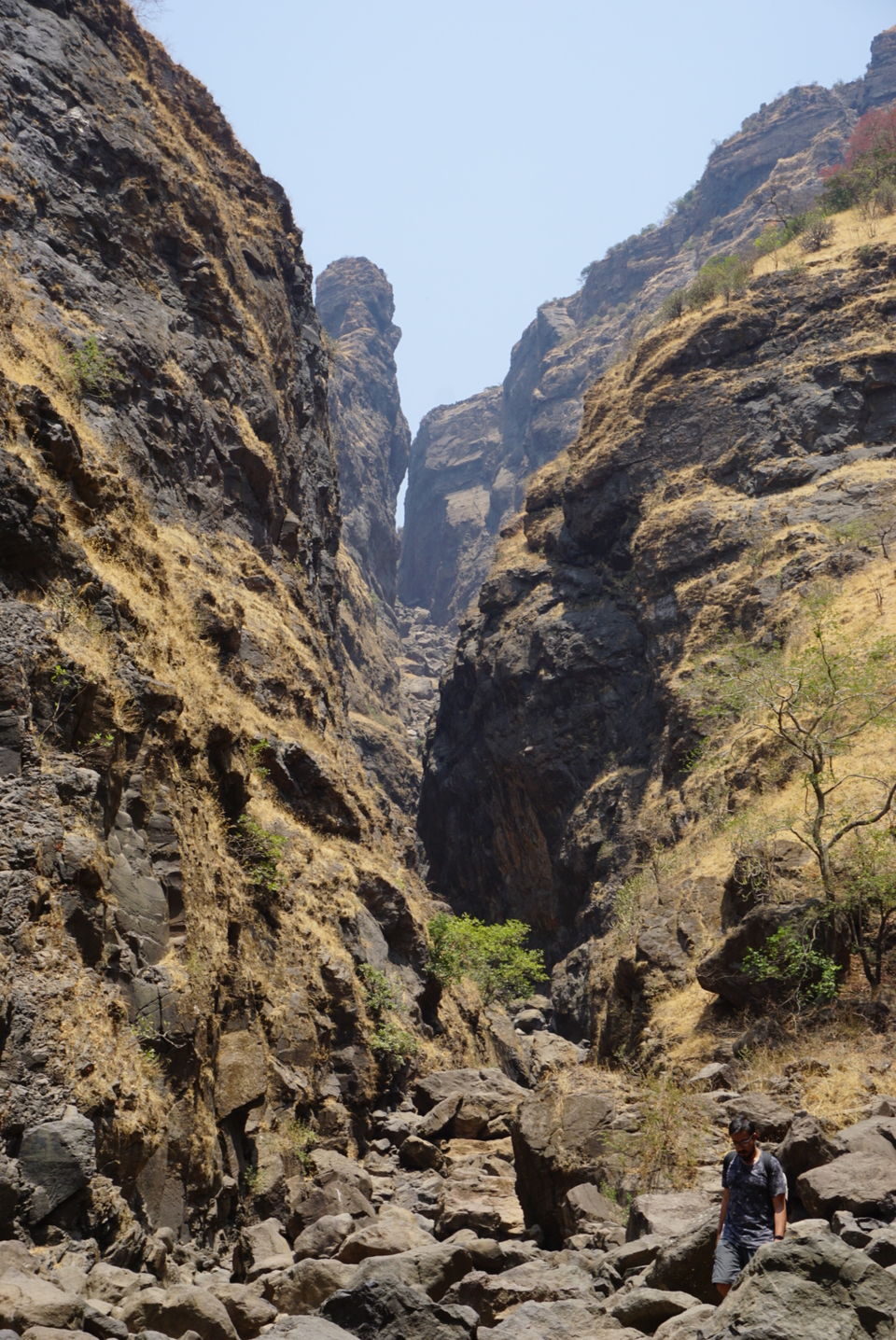 Photo of Sandhan Valley, one of the greatest canyon in Sahyadri Western Ghats #BestofMaharashtra 7/9 by HazelTejal