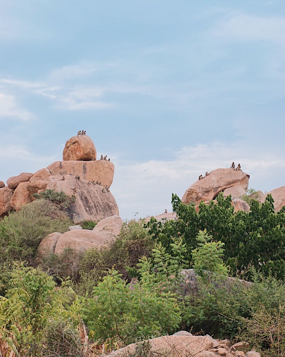 Photo of Solo Woman Exploring Hampi - Travel Guide 27/39 by HazelTejal