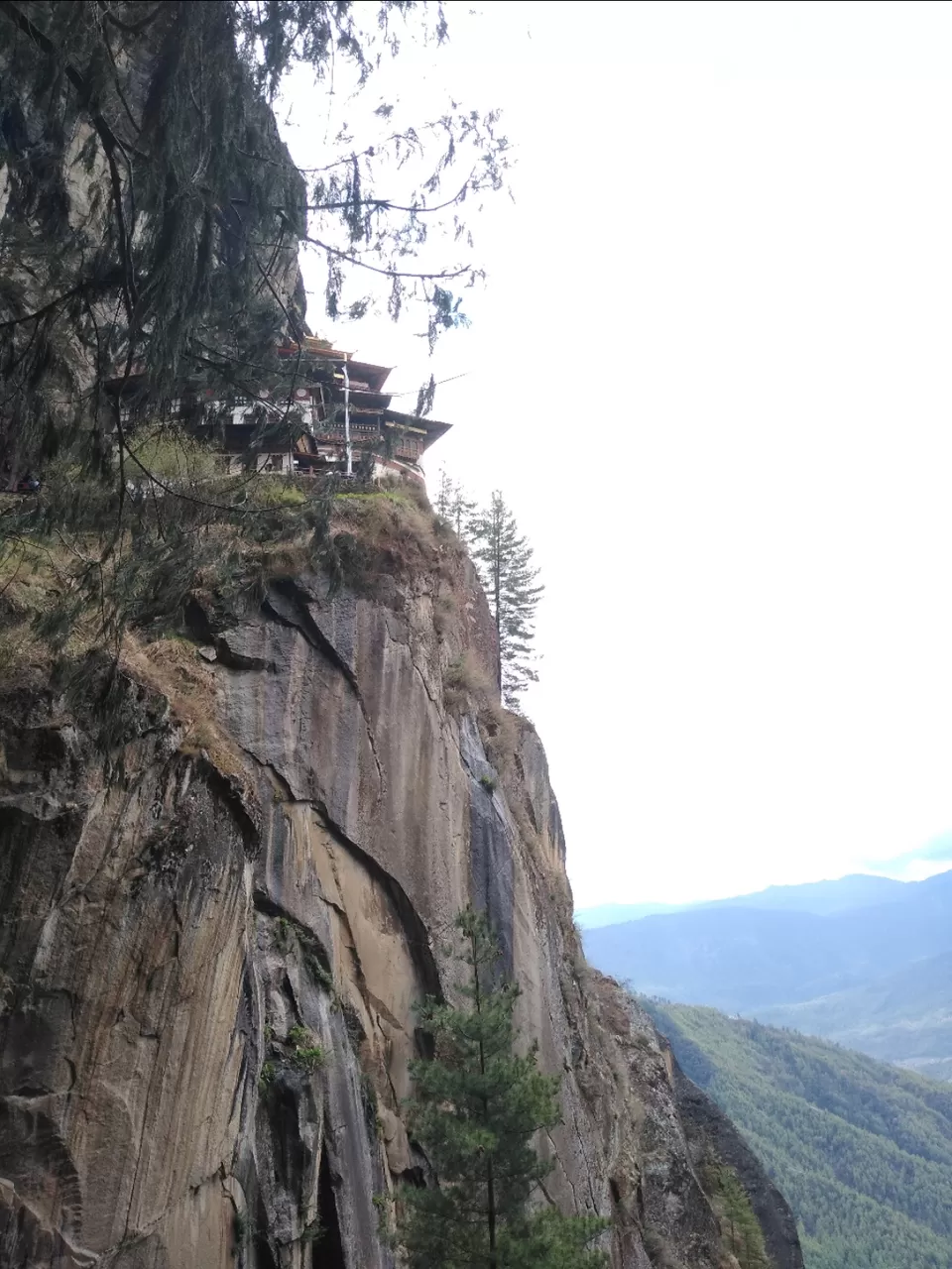 Photo of Tiger’s Nest, Taktsang Trail, Bhutan by Aruna