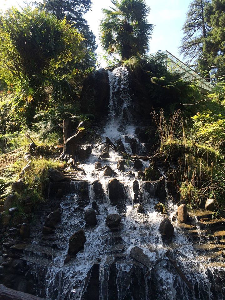 Photo of Company Garden, Chamba - Mussoorie Road, Kitab Ghar, Library Road, Mussoorie, Uttarakhand, India by Monisha Batra
