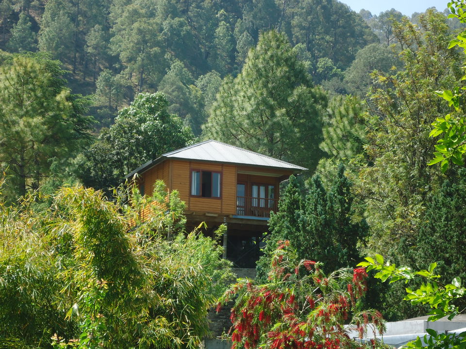 Photo of Club Mahindra Binsar Valley, Uttarakhand, Sunoli Mafi, Uttarakhand, India by Monisha Batra