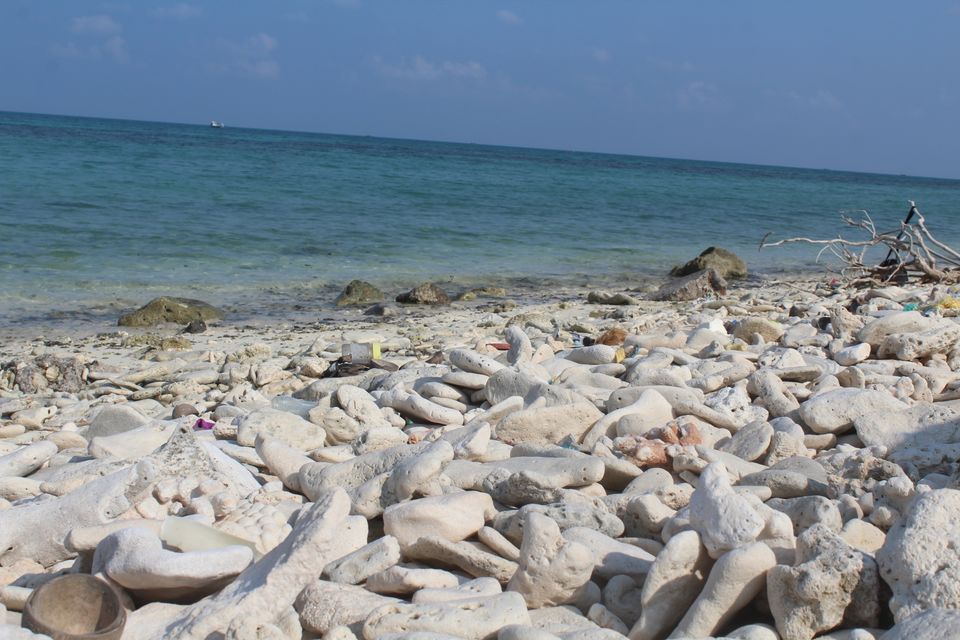 Photo of Andrott, Lakshadweep, India by danish
