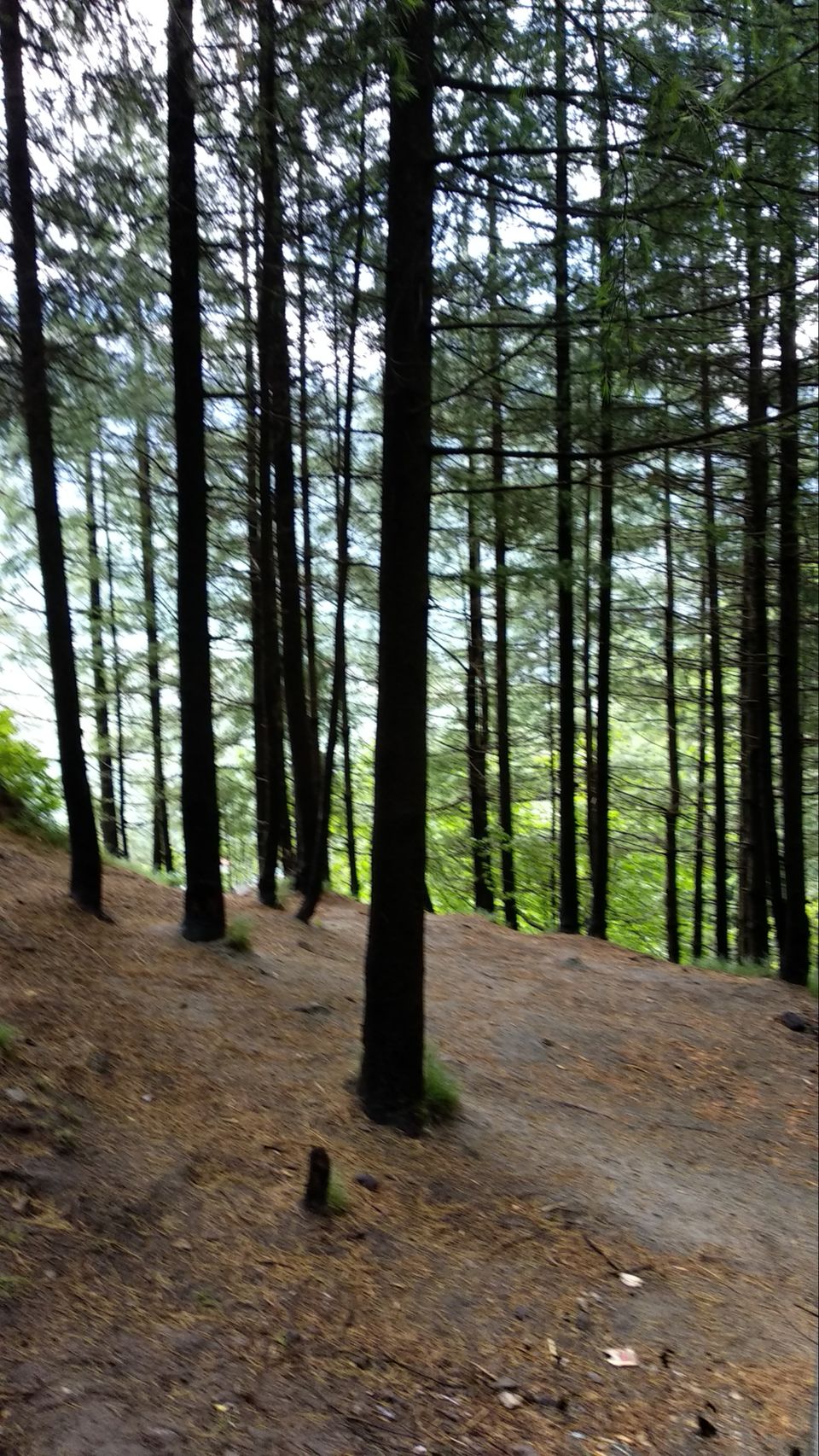 Photo of Highlander Camp Manali, Manali, Himachal Pradesh, India by Rohit Jangda