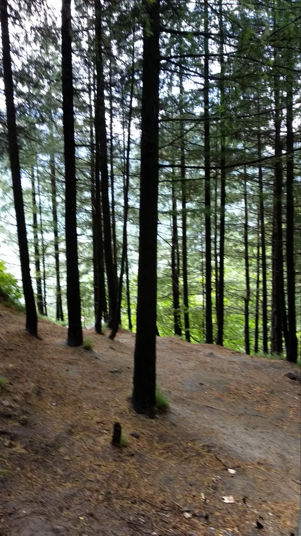 Photo of Highlander Camp Manali, Manali, Himachal Pradesh, India by Rohit Jangda