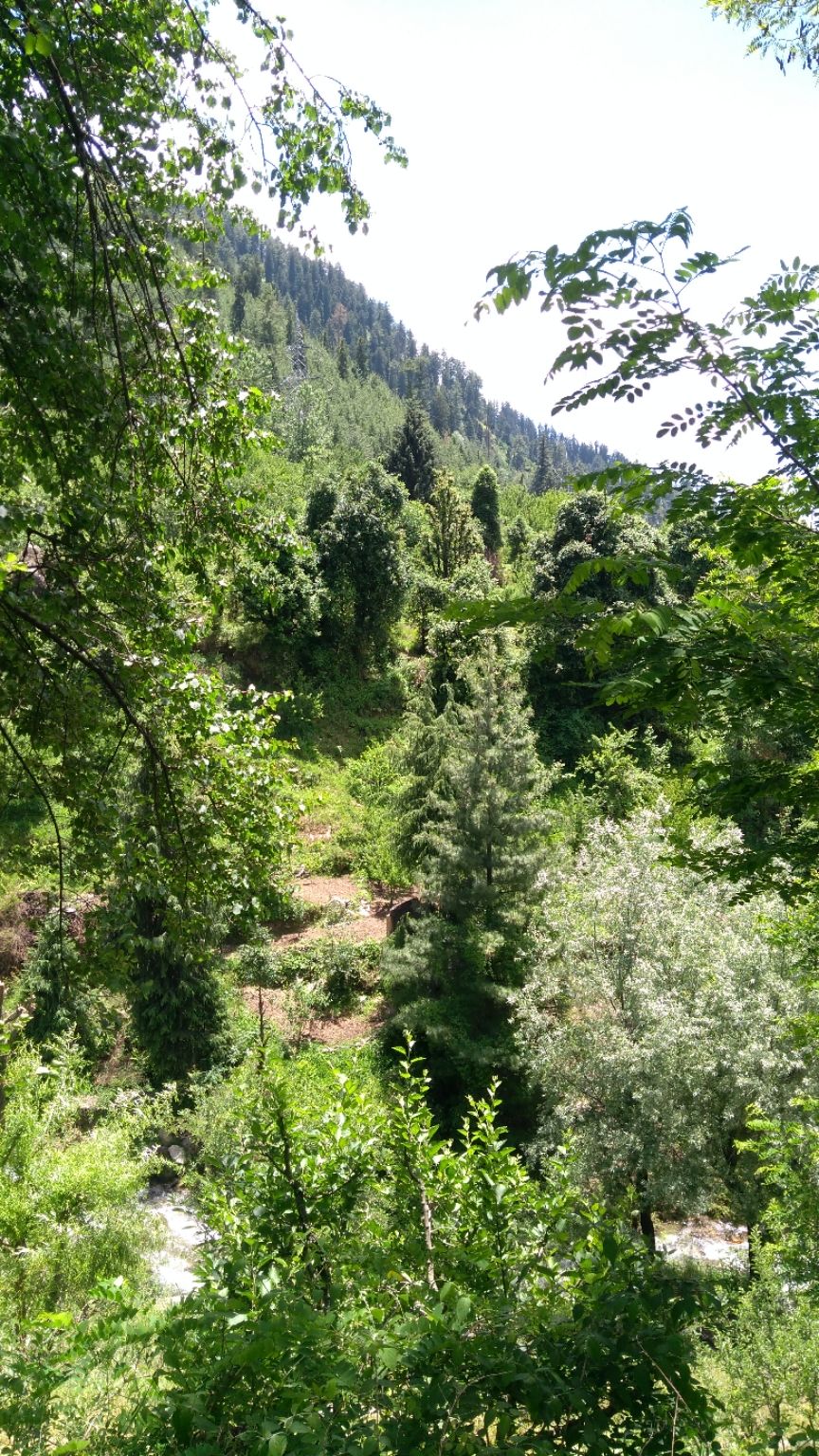 Photo of Manali with a smile???????? by Rohit Jangda