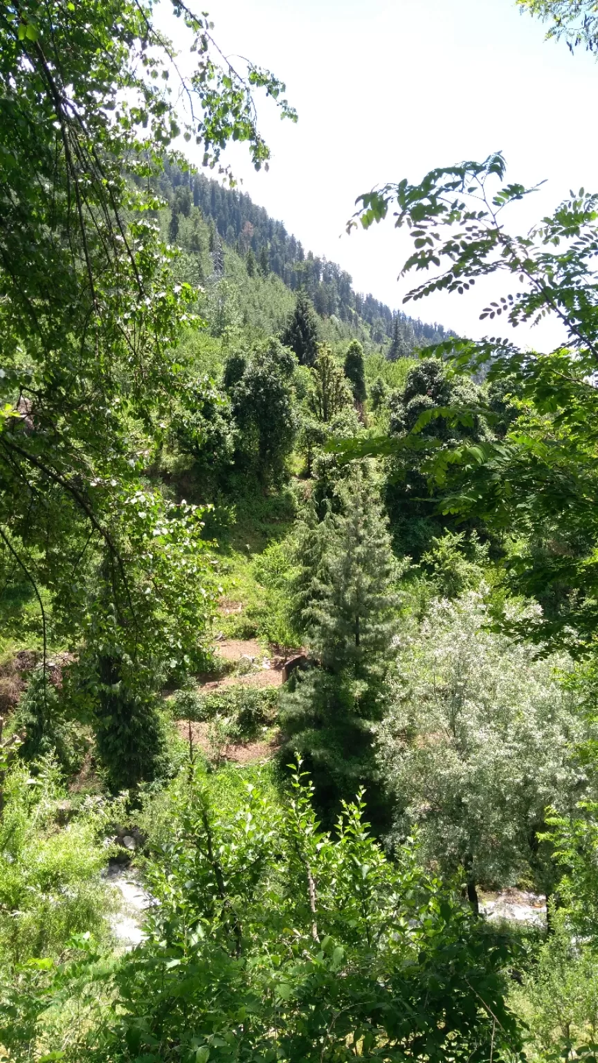 Photo of Manali with a smile???????? by Rohit Jangda