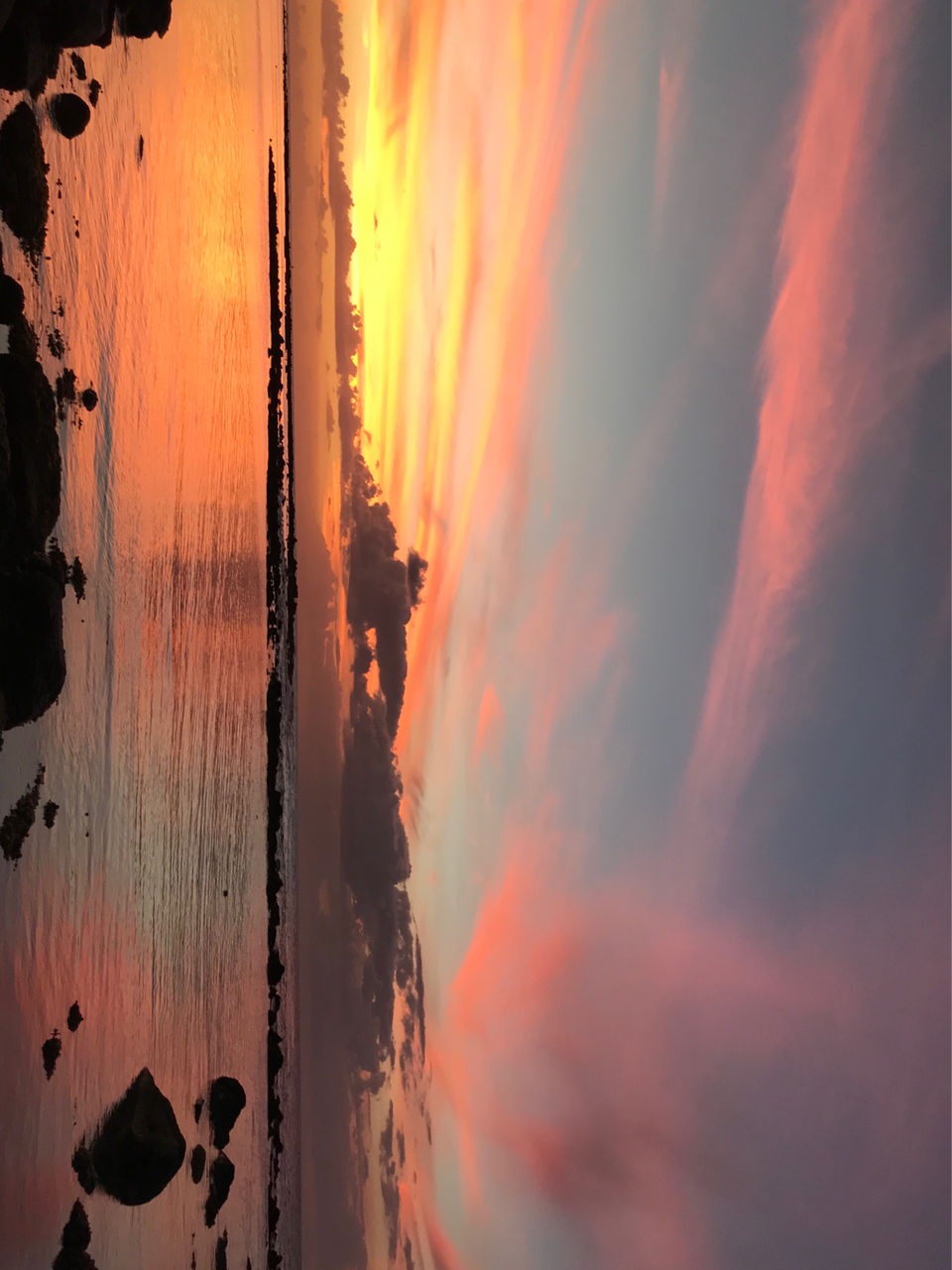 Photo of Mauritius by Shivani Solanki
