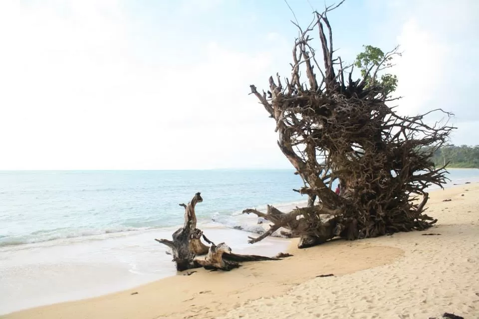 Photo of Andaman and Nicobar Islands, India by Arunima Bhattacharya
