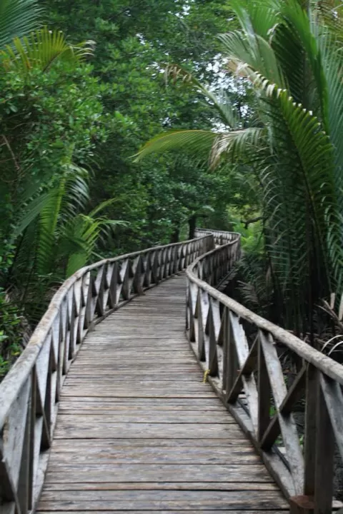 Photo of Andaman and Nicobar Islands, India by Arunima Bhattacharya