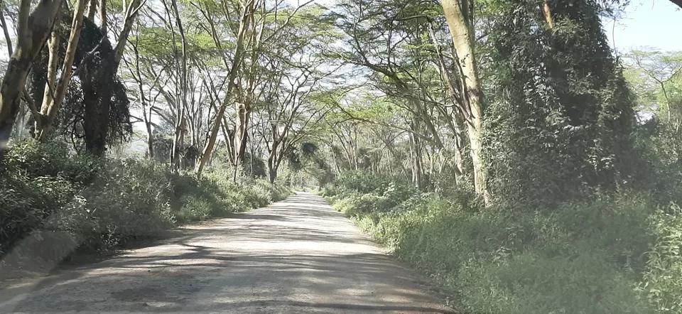 Photo of Nakuru National Park Office, Nakuru, Kenya by Sweta Chakraborty