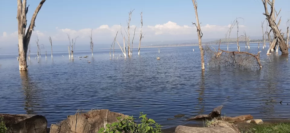 Photo of Nakuru National Park Office, Nakuru, Kenya by Sweta Chakraborty