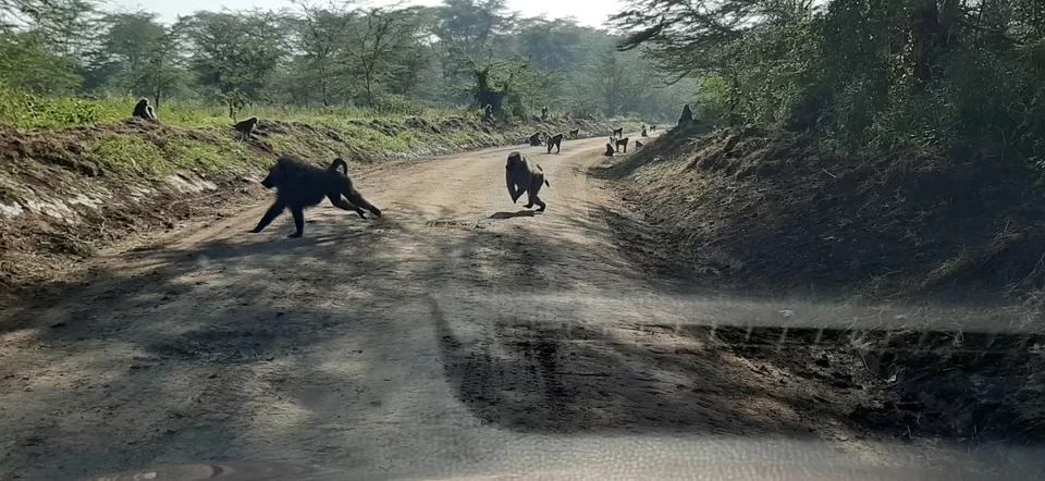 Photo of Nakuru National Park Office, Nakuru, Kenya by Sweta Chakraborty