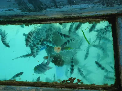 Photo of Mombasa, Kenya by Sweta Chakraborty