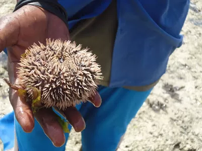 Photo of Mombasa, Kenya by Sweta Chakraborty