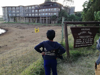 Photo of 'Watching wild life staying in a Treehouse'- an imagination which was implemented in reality! by Sweta Chakraborty