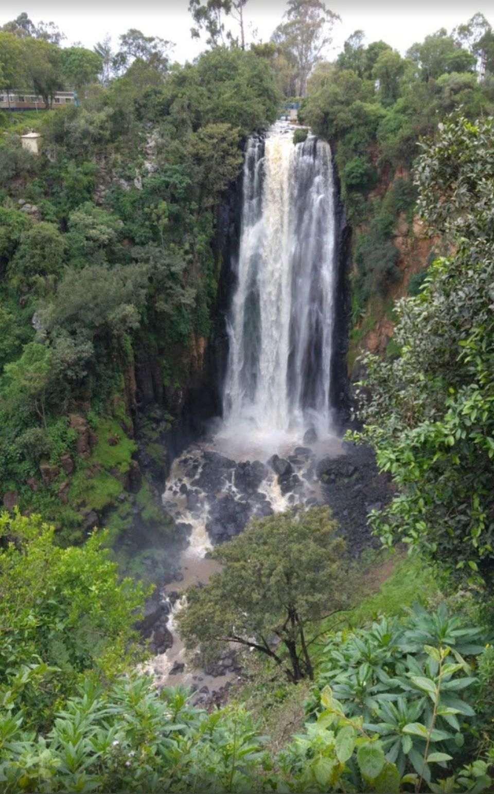 Photo of 10 things to do while you are in Nakuru by Sweta Chakraborty