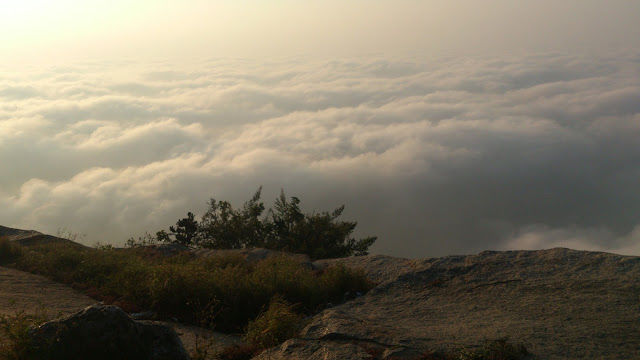 Photo of Bike ride - Nandi hills by Athul Tc