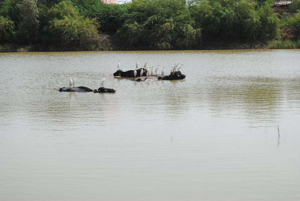 Photo of SOLO Trip to The Last Village of India 5/27 by Vinay Tataria