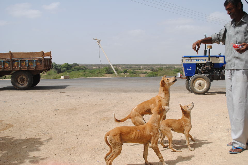 Photo of SOLO Trip to The Last Village of India 23/27 by Vinay Tataria