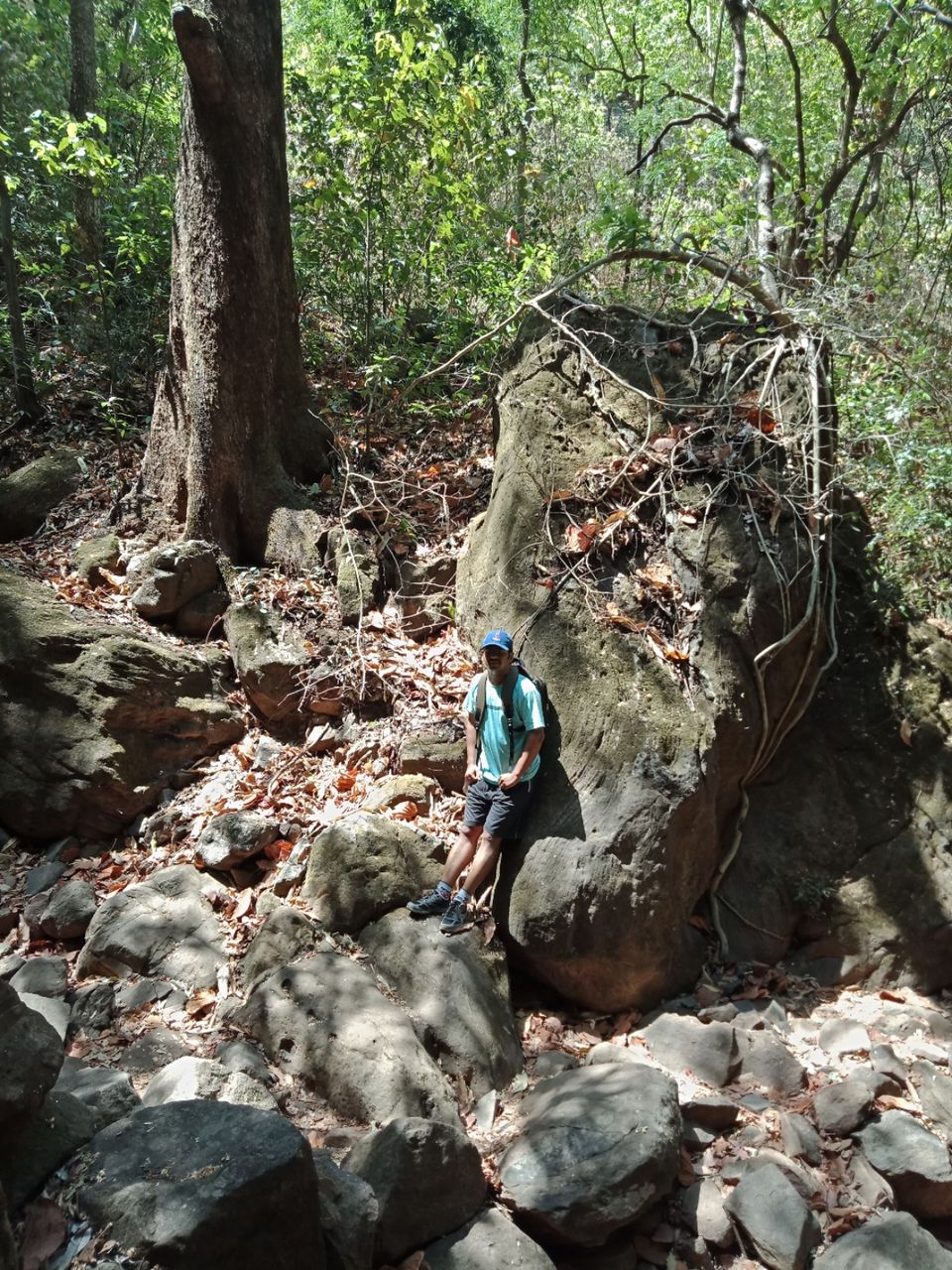 Photo of Pachmarhi - A trekker's paradise! by Onkar Pathak