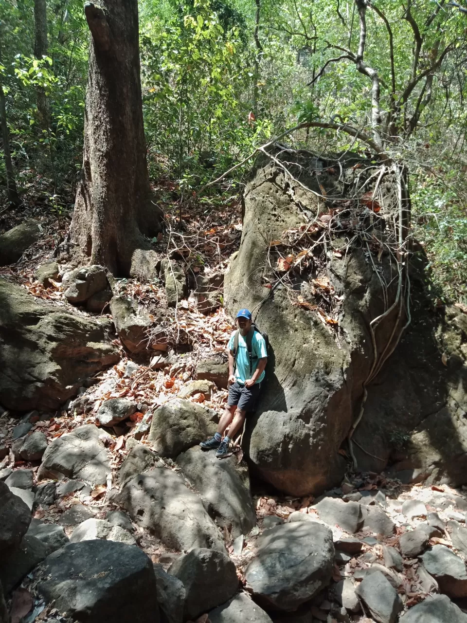Photo of Pachmarhi - A trekker's paradise! by Onkar Pathak