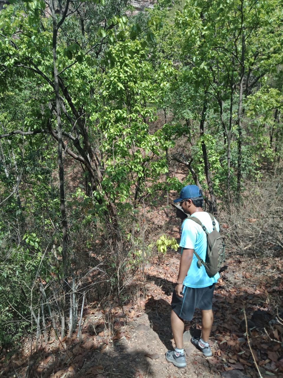 Photo of Pachmarhi - A trekker's paradise! by Onkar Pathak
