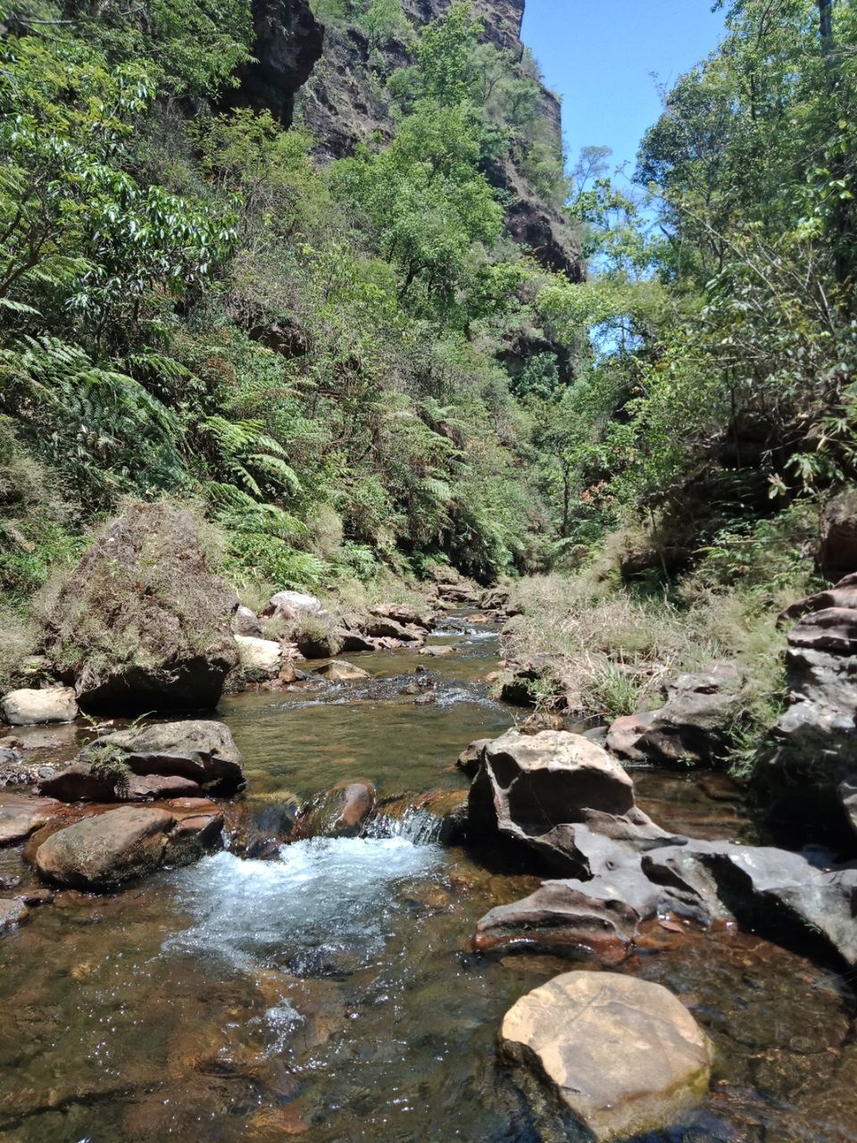 Photo of Pachmarhi - A trekker's paradise! by Onkar Pathak
