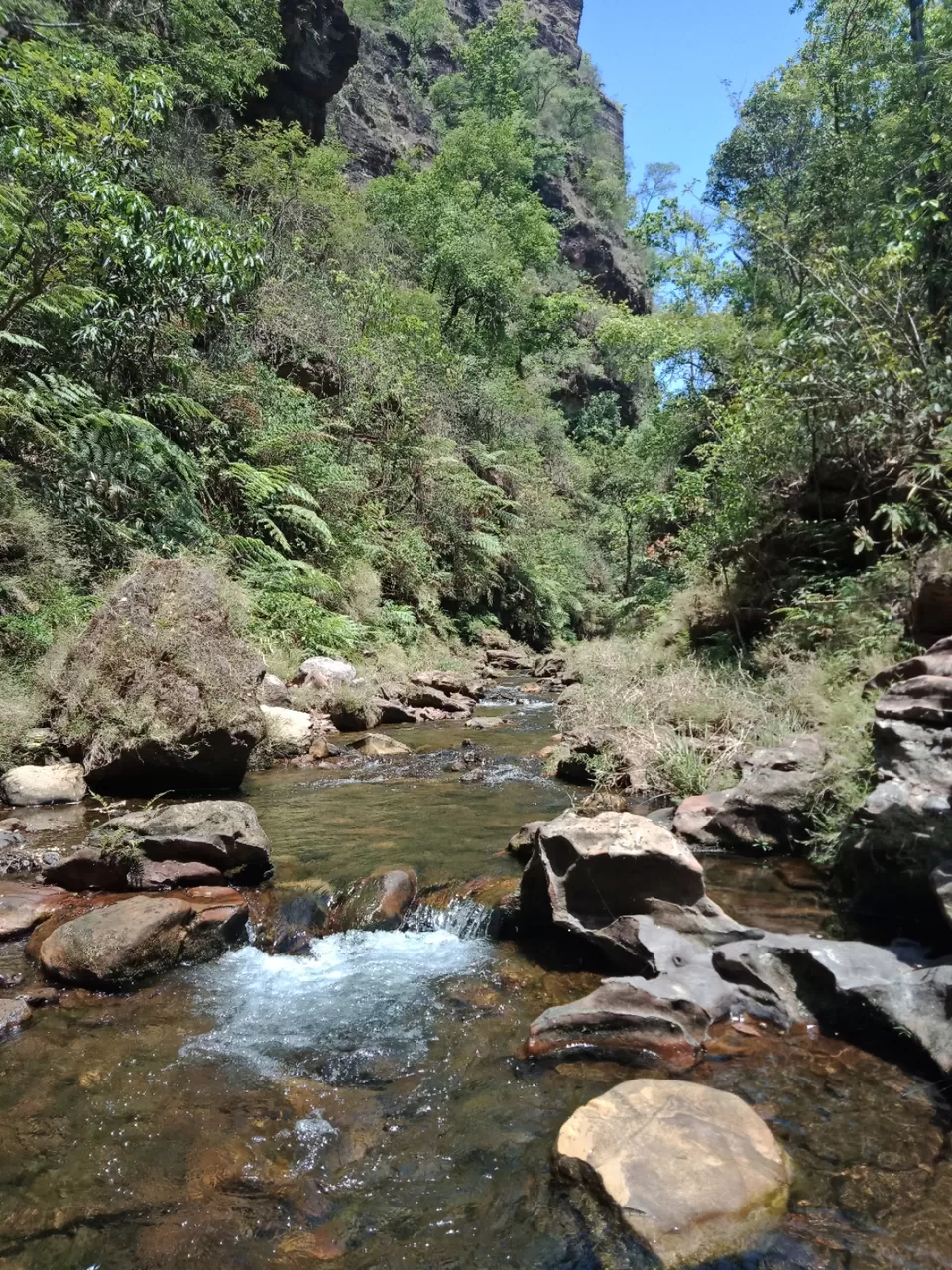 Photo of Pachmarhi - A trekker's paradise! by Onkar Pathak