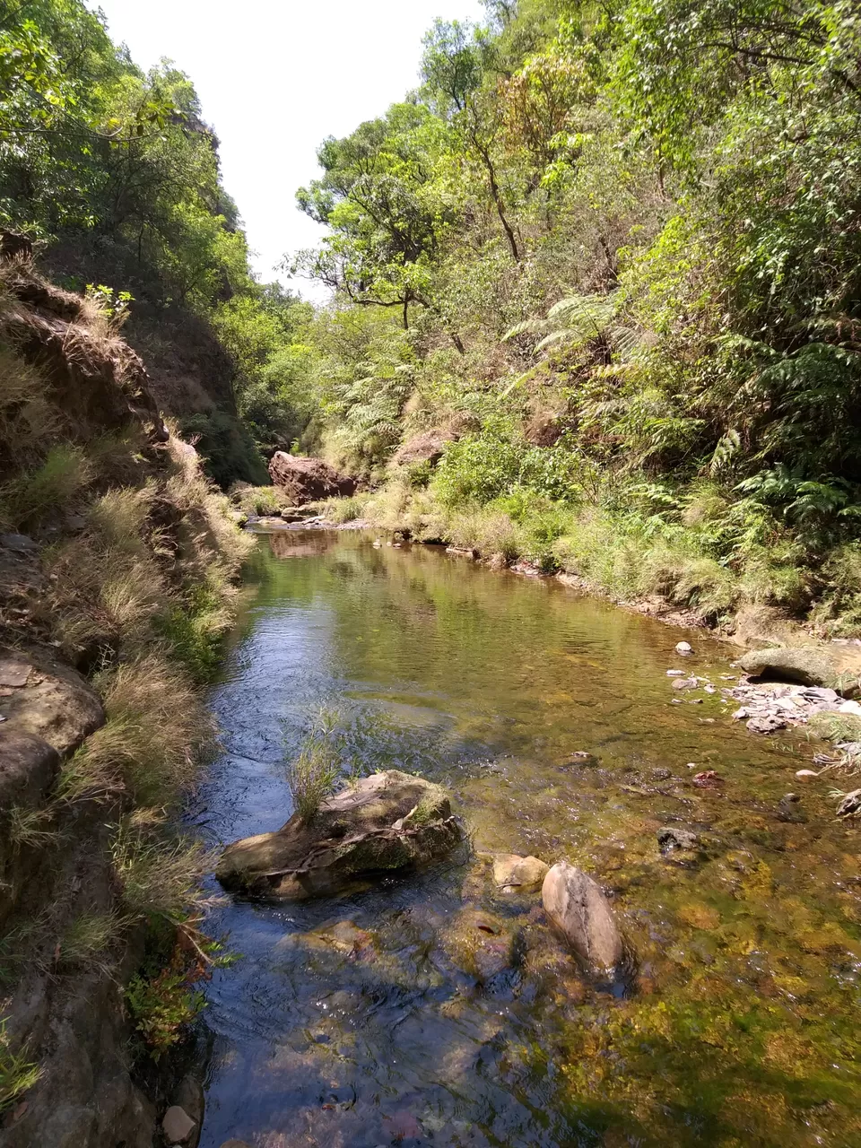 Photo of Pachmarhi - A trekker's paradise! by Onkar Pathak
