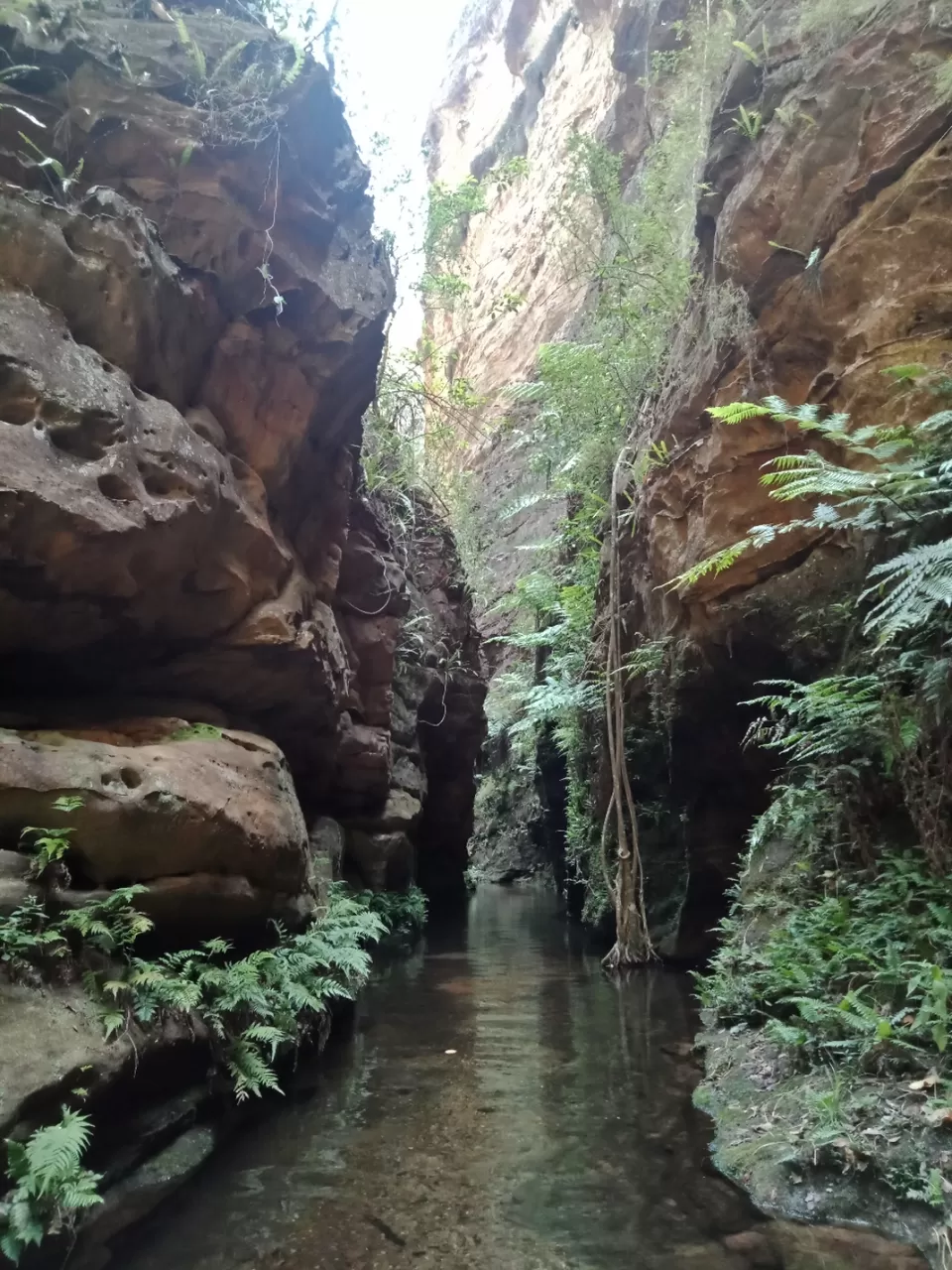 Photo of Pachmarhi - A trekker's paradise! by Onkar Pathak