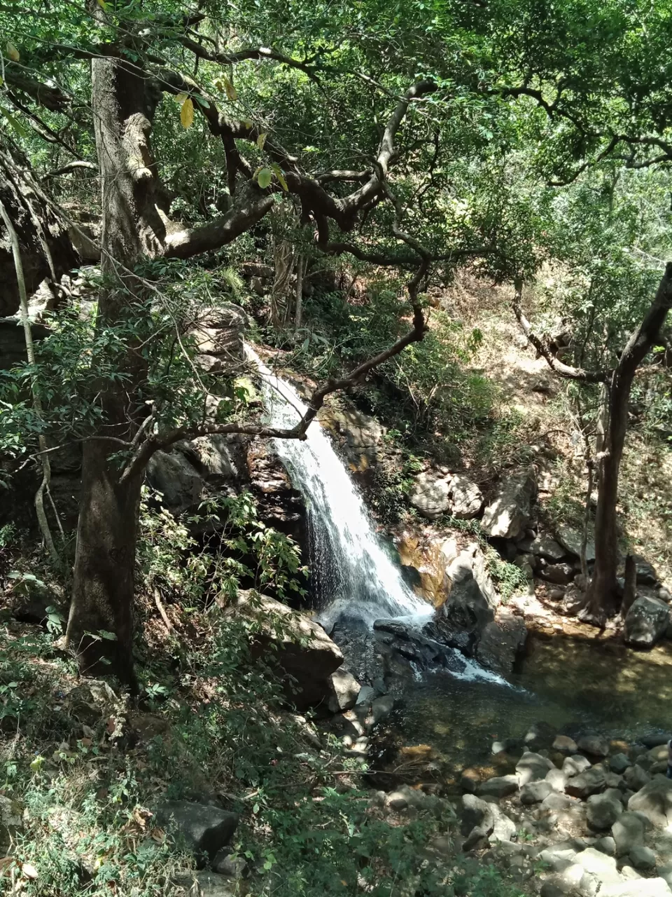 Photo of Pachmarhi - A trekker's paradise! by Onkar Pathak