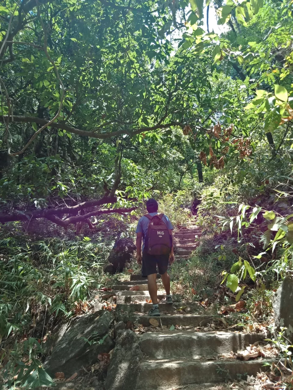 Photo of Pachmarhi - A trekker's paradise! by Onkar Pathak