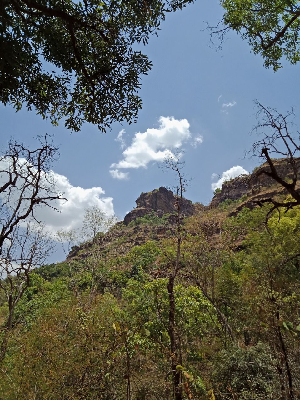 Photo of Pachmarhi - A trekker's paradise! by Onkar Pathak