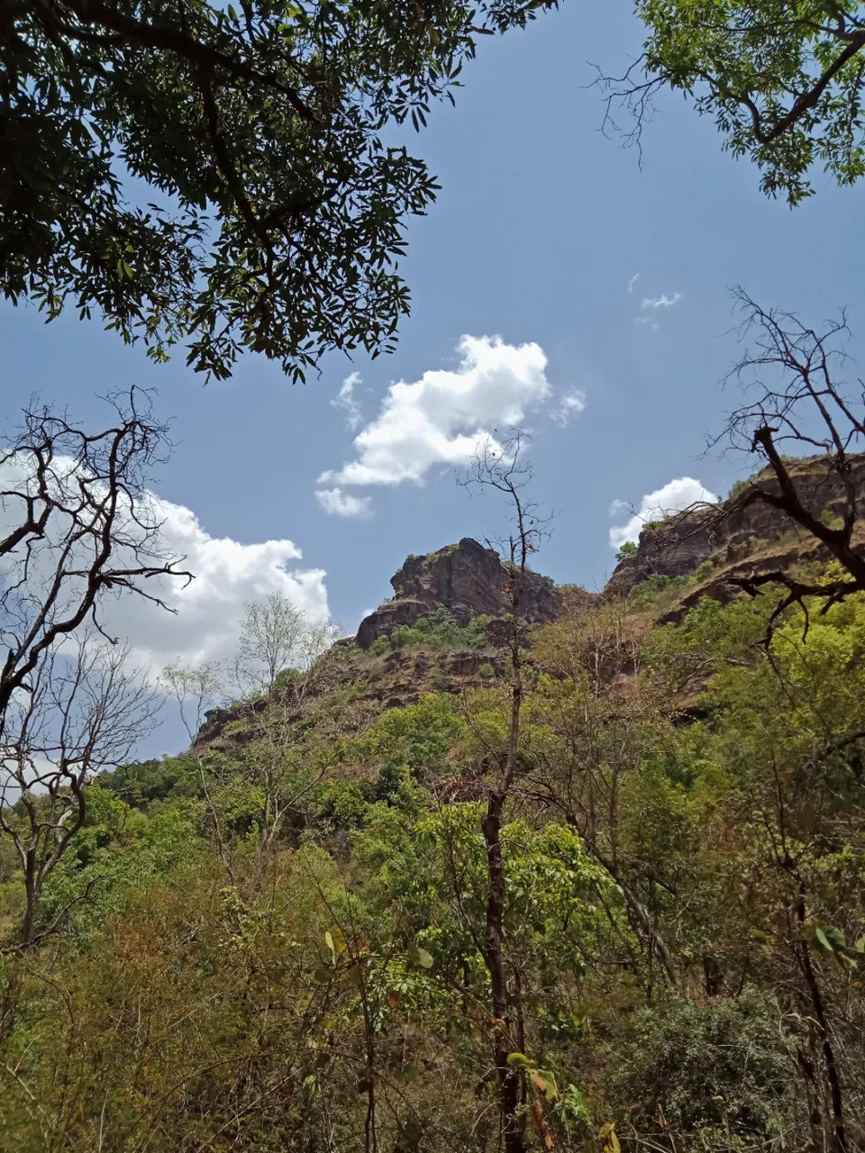 Photo of Pachmarhi - A trekker's paradise! by Onkar Pathak