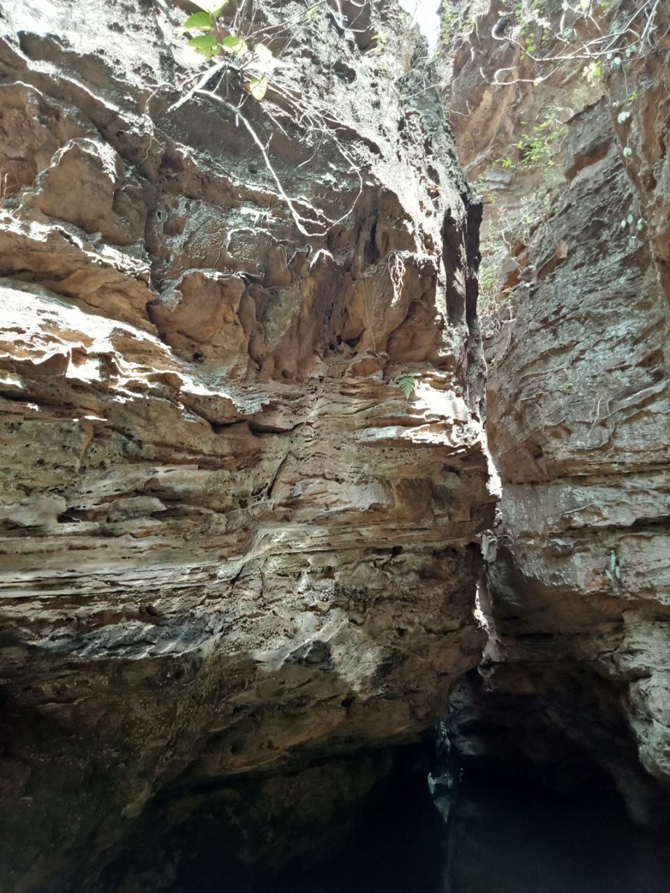 Photo of Pachmarhi - A trekker's paradise! by Onkar Pathak