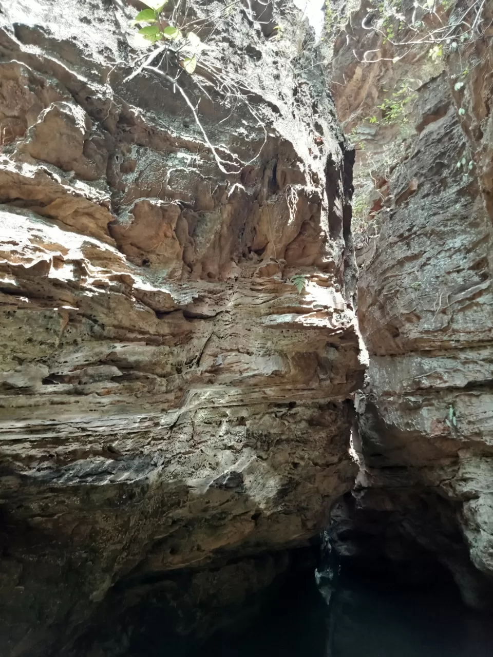 Photo of Pachmarhi - A trekker's paradise! by Onkar Pathak
