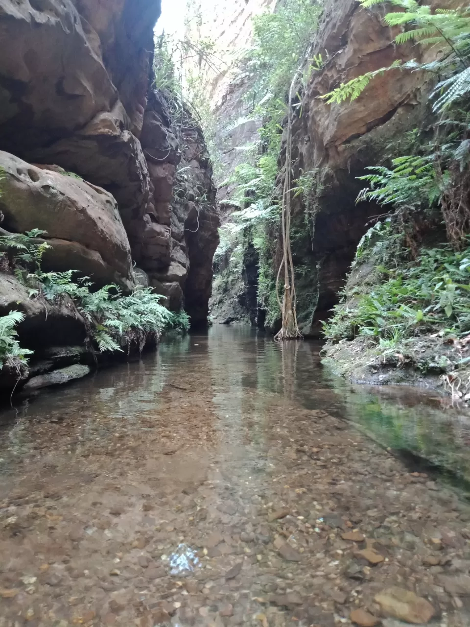 Photo of Pachmarhi - A trekker's paradise! by Onkar Pathak