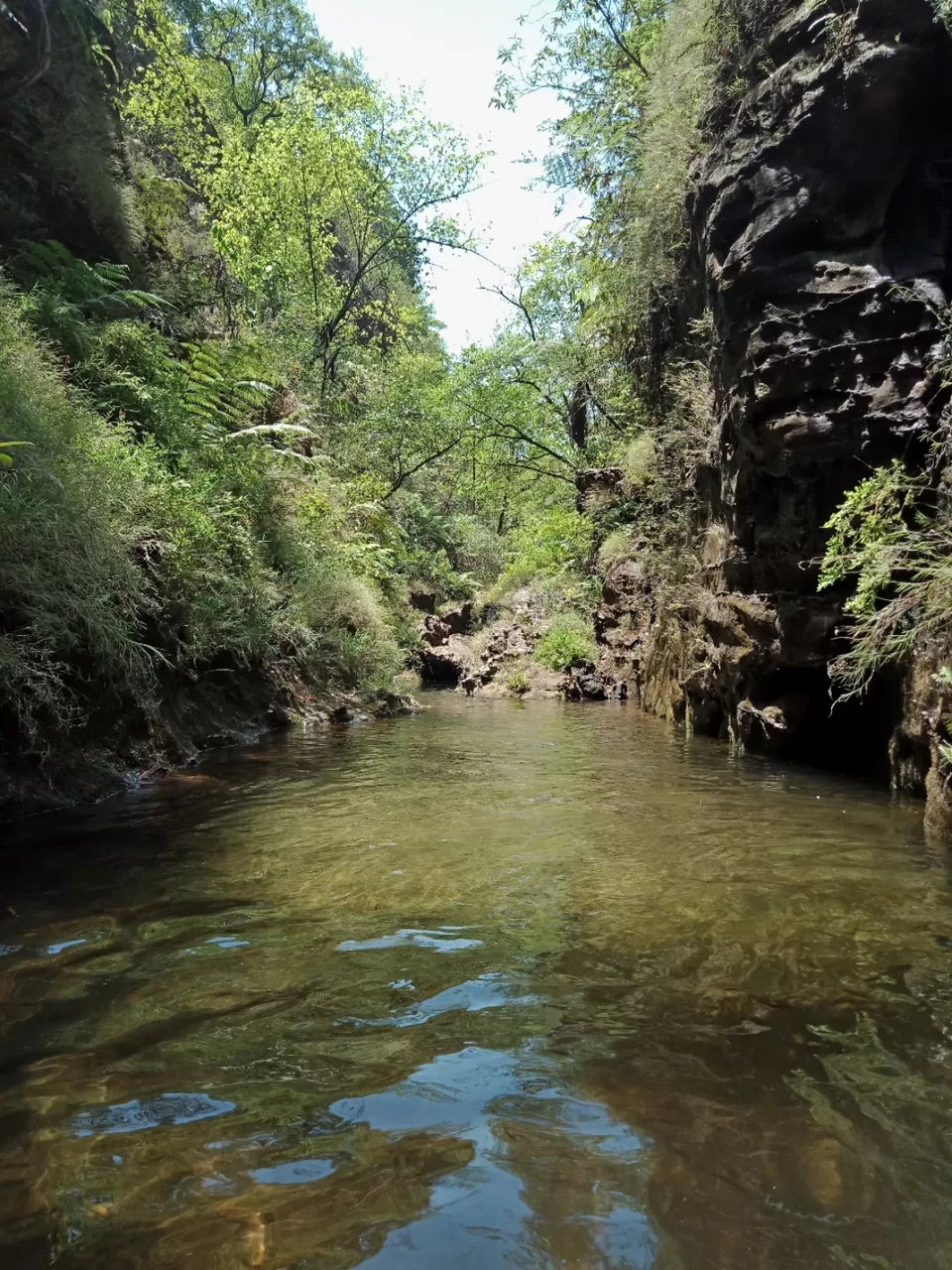 Photo of Pachmarhi - A trekker's paradise! by Onkar Pathak