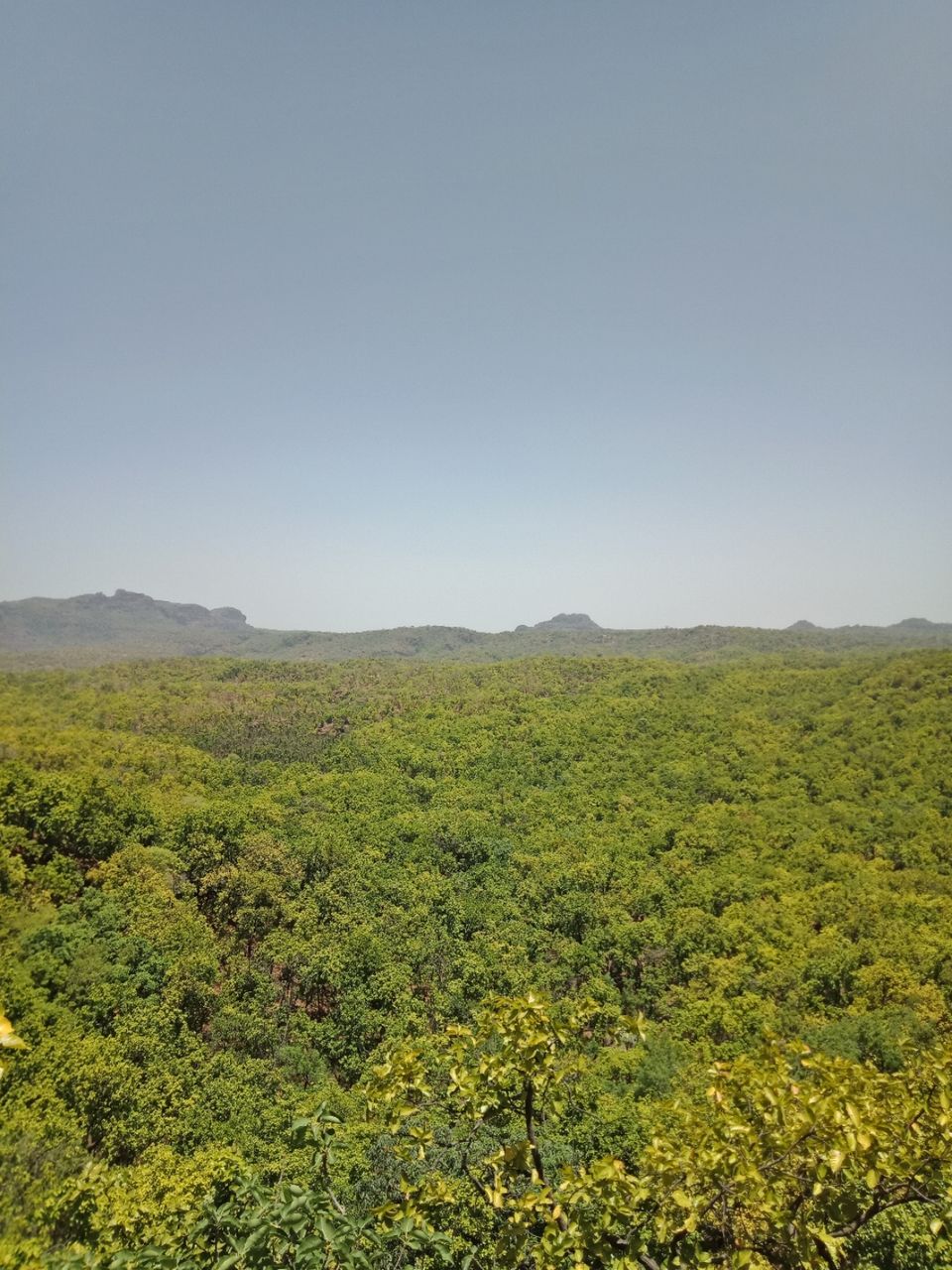 Photo of Pachmarhi - A trekker's paradise! by Onkar Pathak