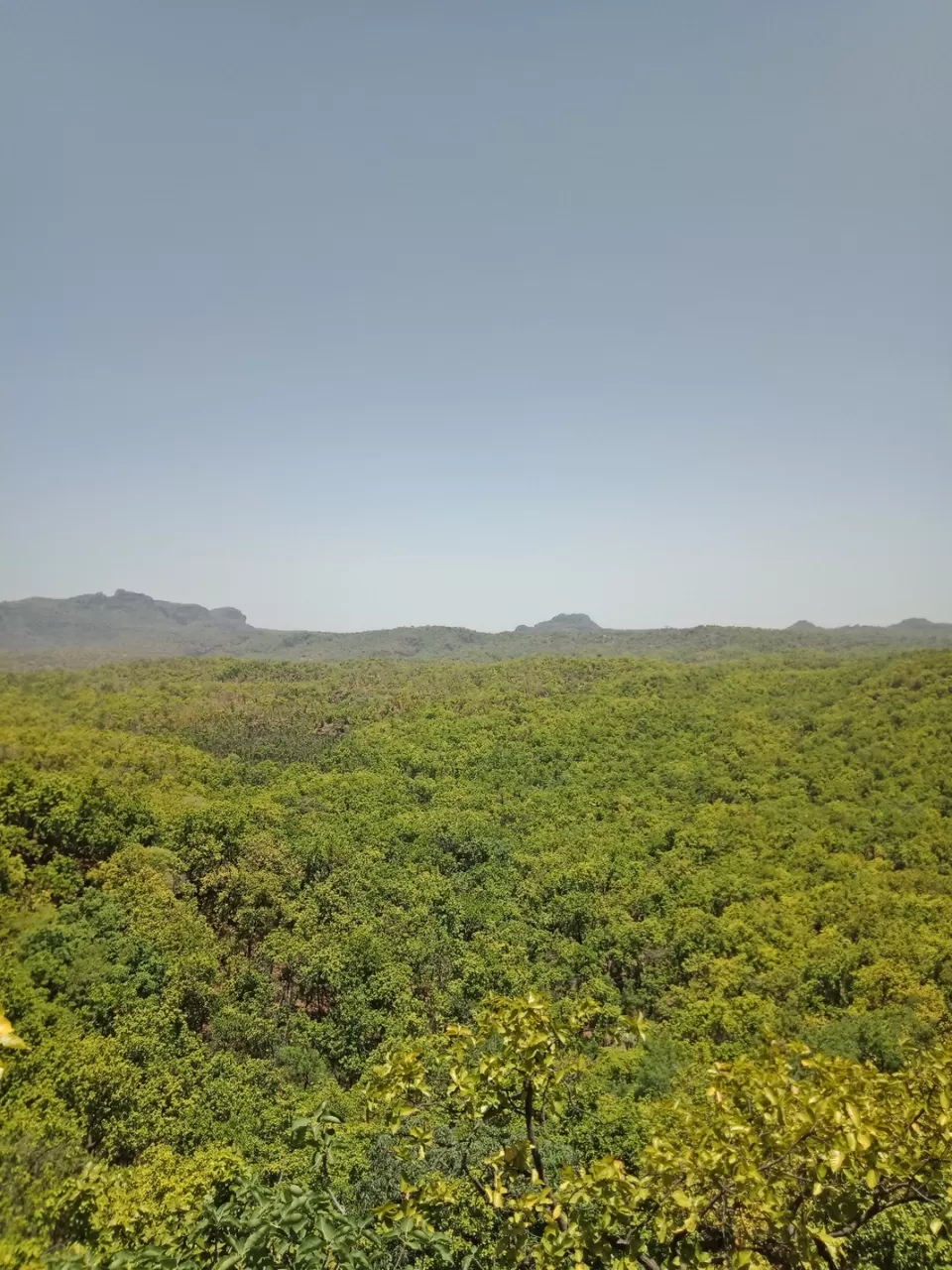 Photo of Pachmarhi - A trekker's paradise! by Onkar Pathak