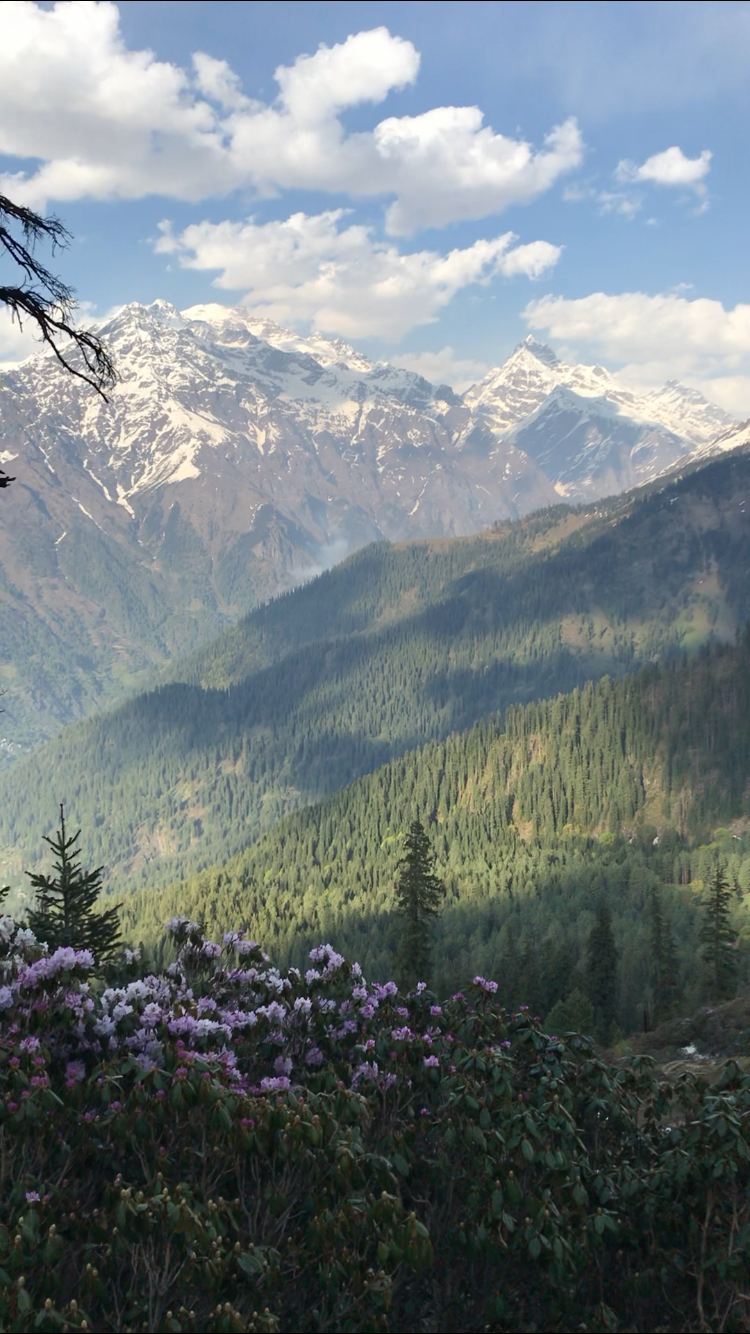 Photo of Sarpass Trek: Everything You Need To Know by Deepti Dabas