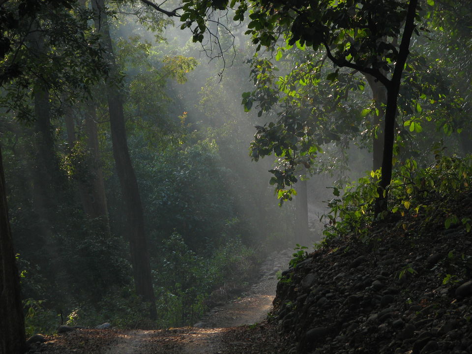 Photo of Murlen National Park, Champhai, Mizoram, India by Salim Islam