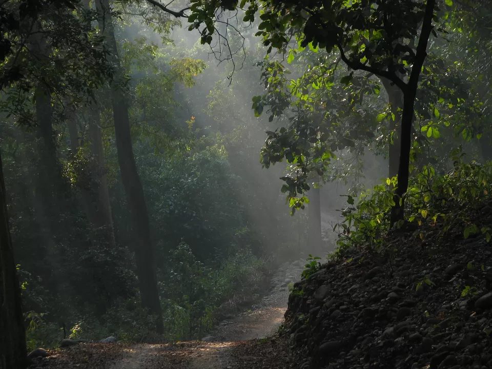 Photo of Murlen National Park, Champhai, Mizoram, India by Salim Islam