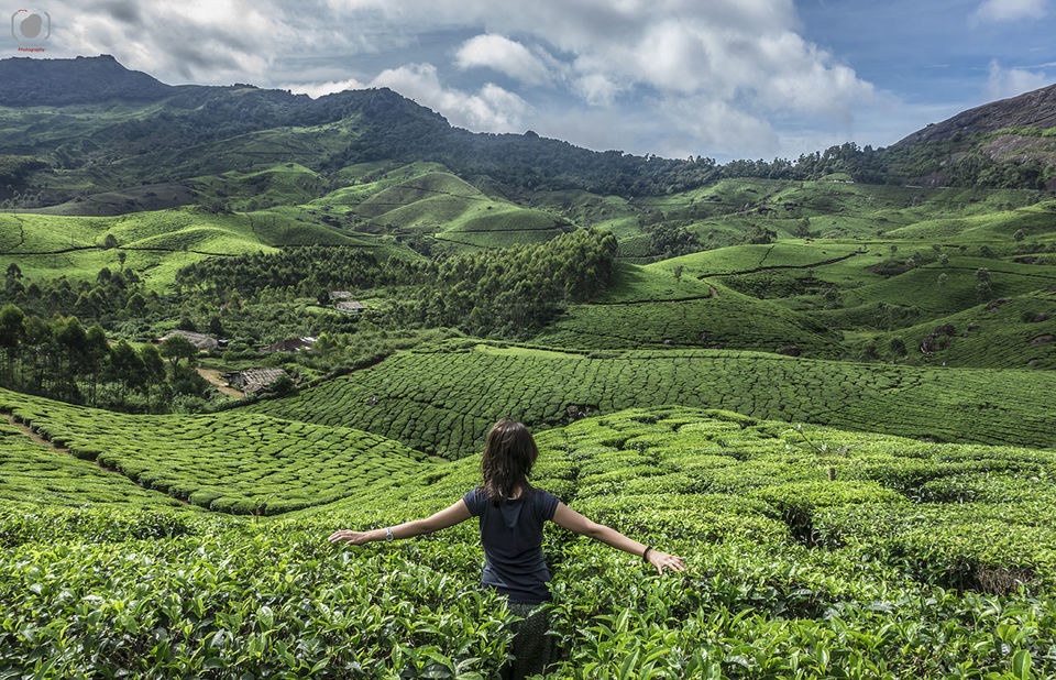 Photo of A sea of gardens by Salim Islam