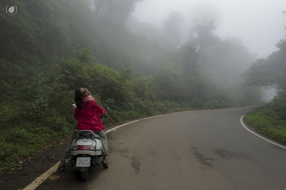 Photo of The fog draws closer enroute Periyar by Salim Islam