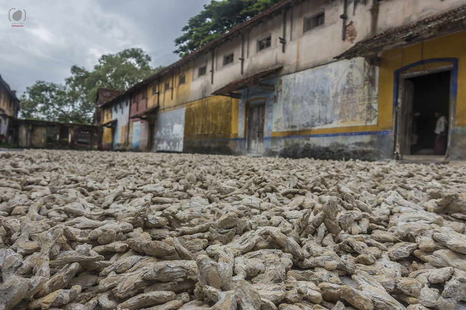 Photo of Old spice market Forct Kochi by Salim Islam