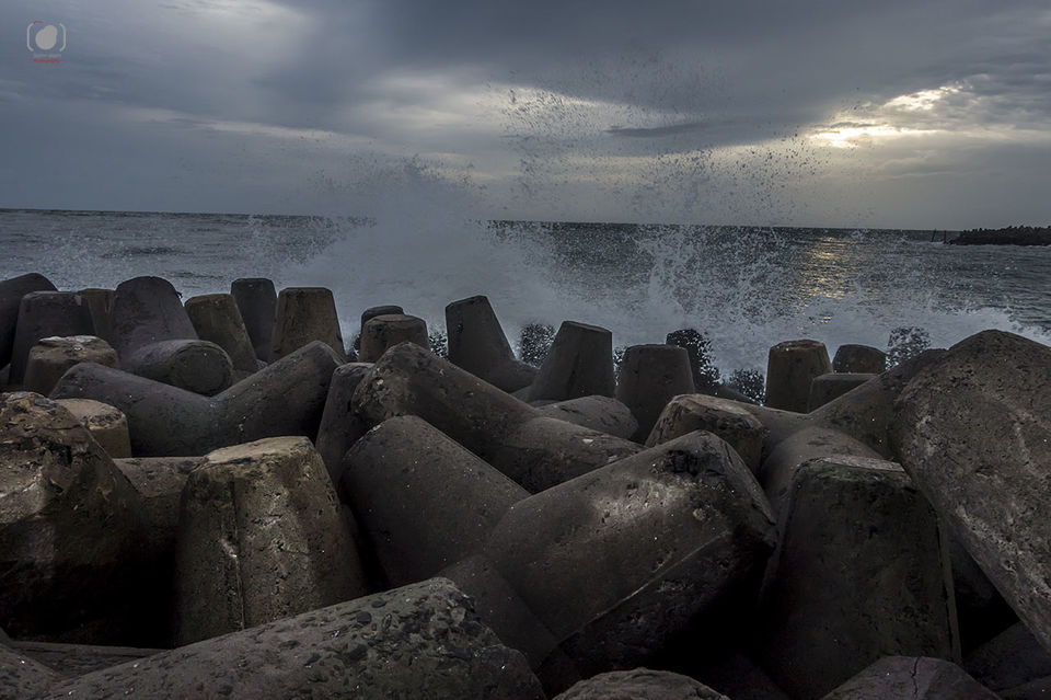 Photo of Tertapods at Cherai Beach by Salim Islam