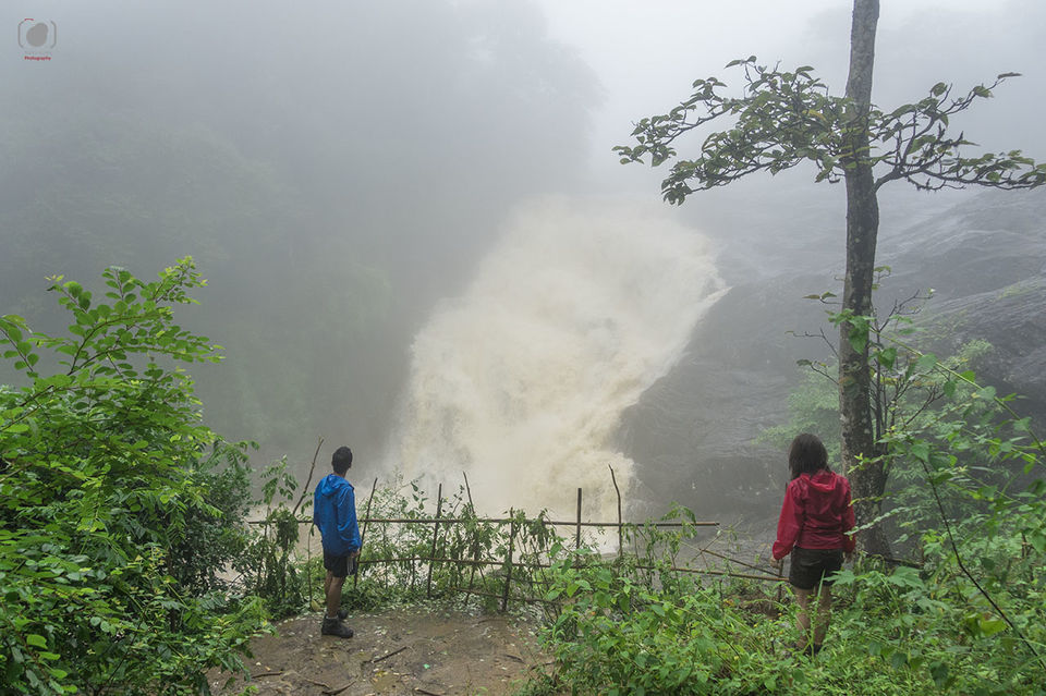 Photo of Kerala: The finale 3/12 by Salim Islam