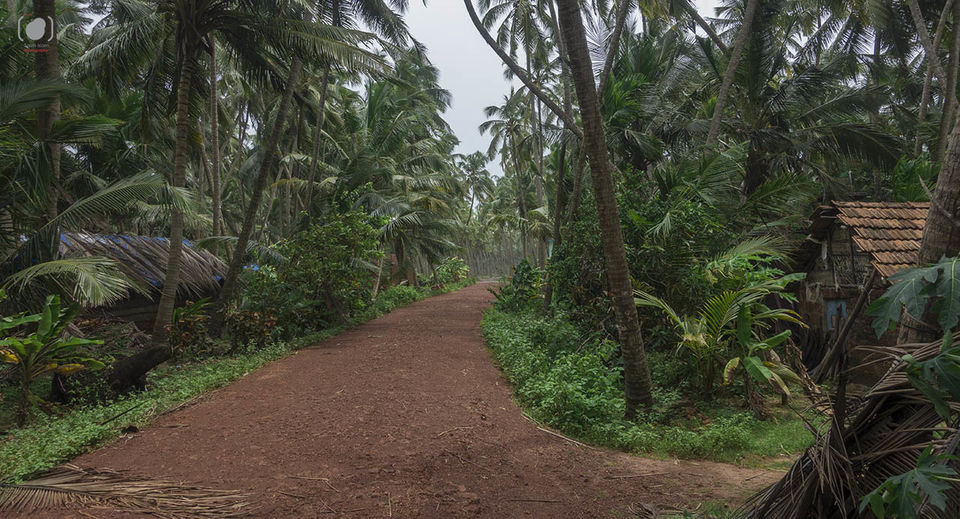 Photo of Kerala: The finale 7/12 by Salim Islam